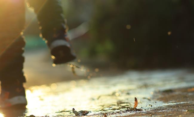 people7.jpg people7.jpg