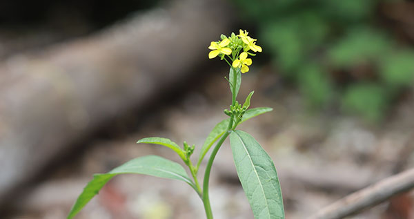 IMG_4228.jpg IMG_4228.jpg